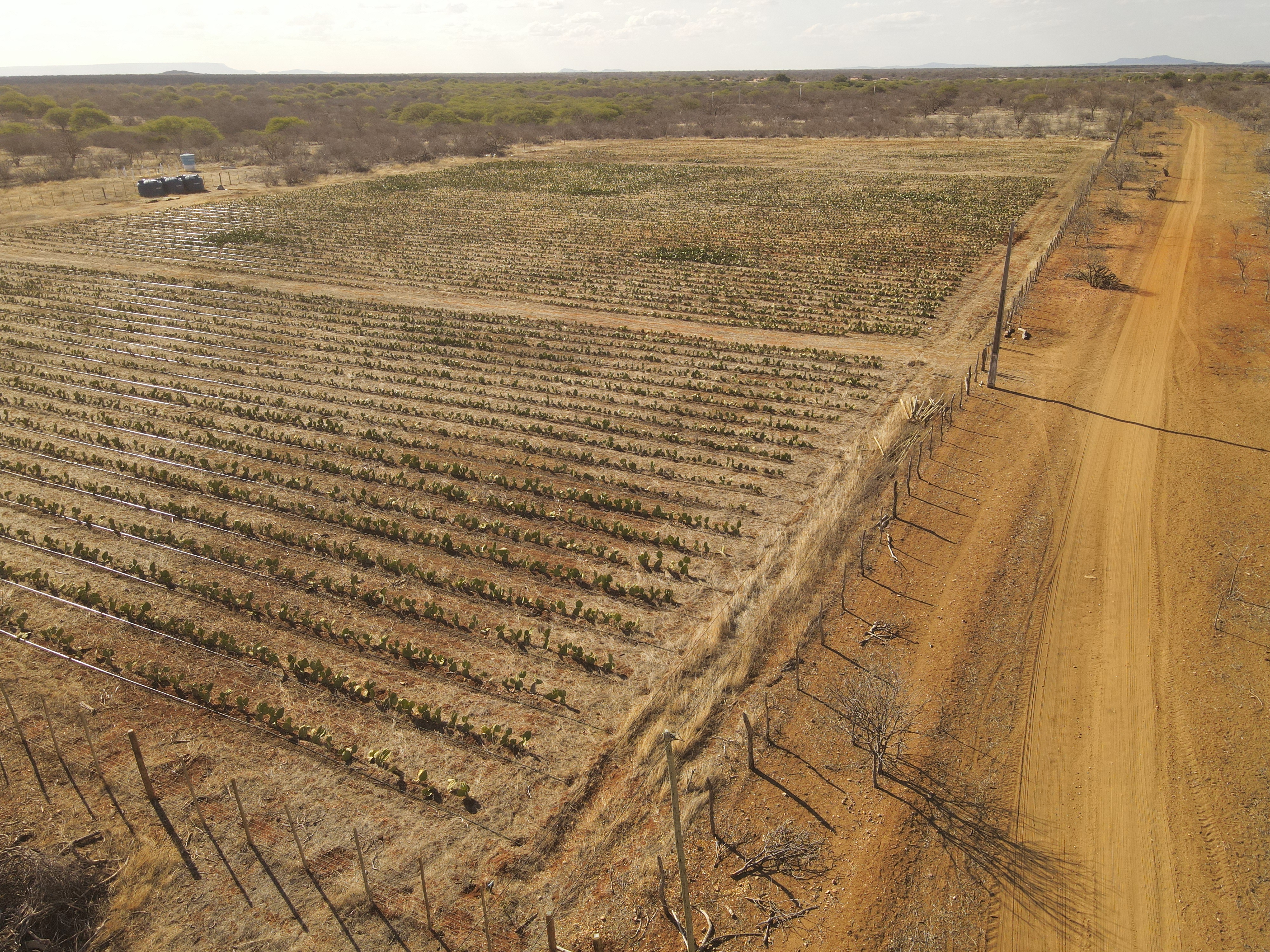 DJI_0666.JPG